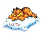  Sommeil, alimentation et poids